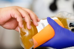 Covid-19: Polónia inicia produção de medicamento experimental com plasma sanguíneo