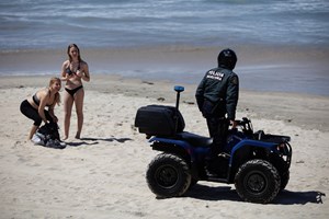 Assembleia Municipal de Matosinhos recomenda criação de praia 'pet friendly'