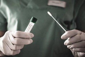 Covid-19: Cascais testa todo o pessoal docente e não docente das escolas