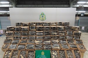 Apreensão recorde de 26 toneladas de barbatanas de tubarão em Hong Kong