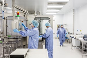 Onze investigadores portugueses com bolsas europeias