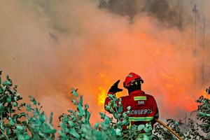 Incêndios: meios de combate reforçados pela segunda vez este ano