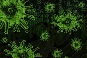 coronavirus virus