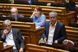 José Luís Ferreira, PEV