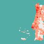 Mapa: Viseu entra no grupo de 51 concelhos com mais de 100 casos de covid-19
