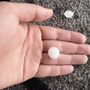 Queda de granizo destrói pomares na zona do Douro e Minho