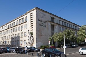 Cientistas de Coimbra ganham bolsas de quatro milhões de euros