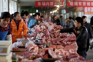 Covid-19: China volta a detetar vírus em produtos congelados oriundos do Brasil