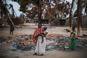 Moçambique: Apoio alimentar vai ser reduzido a partir de terça-feira