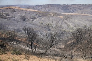 Incêndios: Bombeiros continuam a fazer frente a reativações em Vila do Bispo
