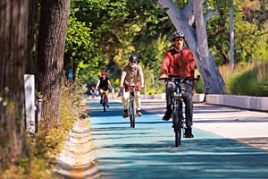 Está aí a febre das bicicletas: conheça os melhores modelos
