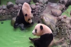 Untitled Project ‐ Made with Clipchamp.mp4