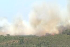Bombeiros combatem incêndio em Aljezur