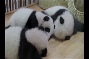 Untitled Project ‐ Made with Clipchamp (2).mp4