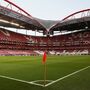 Benfica lança empréstimo obrigacionista de 35 milhões de euros