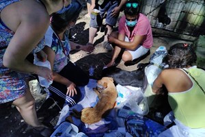 AR aprova audição do presidente da Câmara de Santo Tirso sobre morte de animais em canis