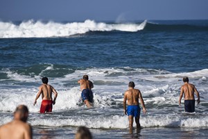 Identificada espécie que deu à costa e levantada interdição de banhos na Foz do Arelho