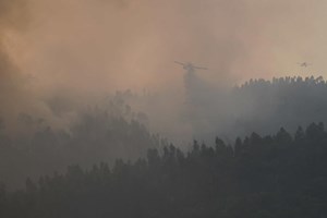 Incêndios: Fogo em Abrantes foi dominado em duas horas