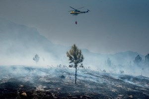 Dois meios aéreos combatem fogo no parque Peneda-Gerês