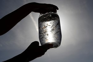 Europa cede à indústria dos microplásticos, acusam ambientalistas