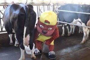 Vídeo Paços de Ferreira