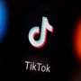 Eleições: Tiktok remove mais de 275 conteúdos e elimina 45.000 contas falsas