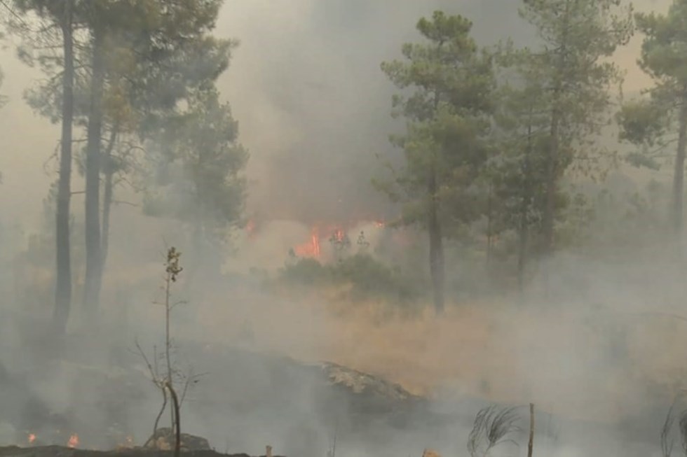 Mais De 40 Concelhos De Sete Distritos Em Risco Máximo De Incêndio Portugal SÁbado 7889