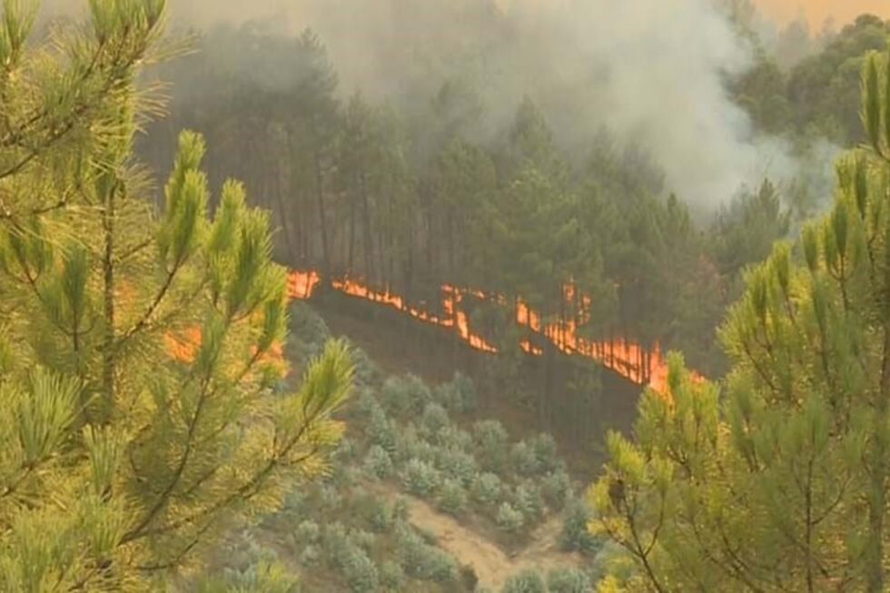 Incêndio em Castelo Branco entra em fase de resolução, com melhorias na situação