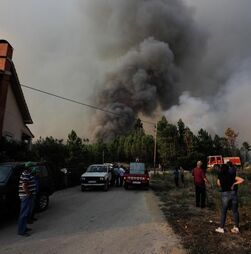 Incêndios: Dois fogos em Proença-a-Nova mobilizam mais de 800 bombeiros