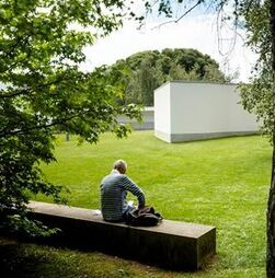 Isabel Pires de Lima renuncia à presidência da Fundação de Serralves