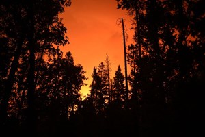 Fogo de artifício para revelar sexo de bebé provocou incêndio florestal na Califórnia