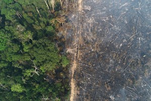 Só 2% a 3% do planeta permanece ecologicamente intacto