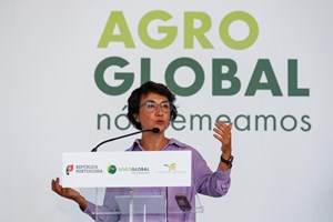 Governo quer instalar 80% dos novos agricultores no interior