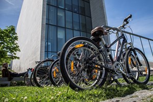 Desporto: Quais são as modalidades de baixo risco que 'desconfinaram'?