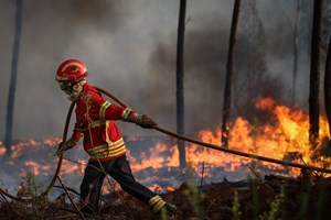 Época crítica de incêndios termina com 65 mil hectares ardidos e morte de cinco bombeiros