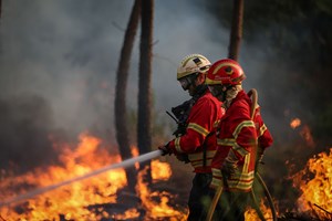 Incêndios: Fogo com três frentes em Monção deverá estar dominado durante a madrugada
