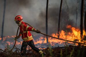 Incêndio Oleiros / Proença a Nova