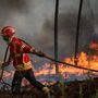Incêndios florestais vão aumentar em 50% até ao fim do século, alerta estudo