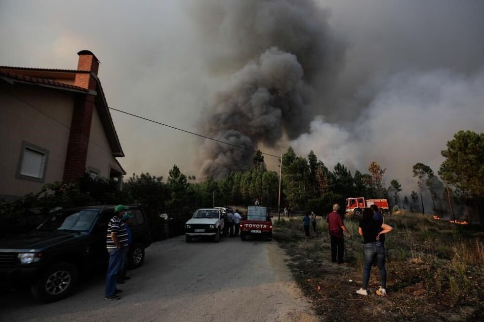 Incêndio em Proença-a-Nova com grande coluna de fumo e bombeiros