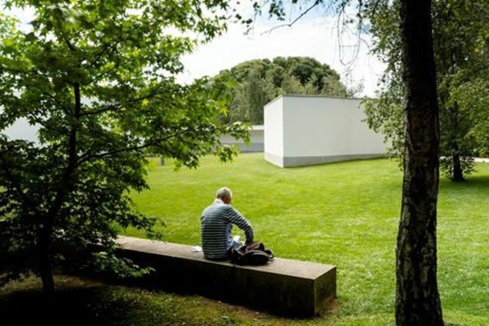 Isabel Pires de Lima renuncia à presidência da Fundação de Serralves no Porto