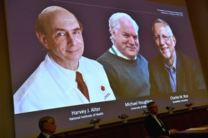 Nobel da Medicina para os três cientistas que descobriram vírus da hepatite C