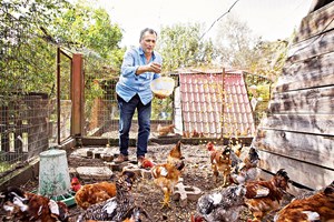 A nova vida de Daniel Campelo: campo e ervas aromáticas 