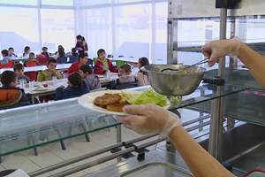 Trabalhadores das cantinas e refeitórios estão hoje em greve