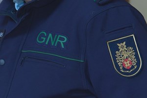 Veterinária suspensa de funções por alegada fraude com vacinas
