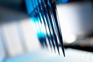 Covid-19: Agência Europeia do Medicamento espera distribuição de vacina a partir de janeiro