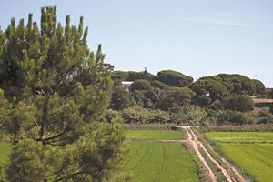 Governo avança com cadastro rústico em 153 municípios