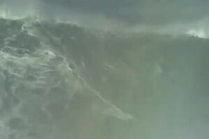 CofinaEditor_2020-10-29_15_41_45iRuzTN9oNvntJfiR.mp4