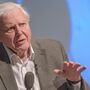 O testemunho planetário de David Attenborough na Netflix