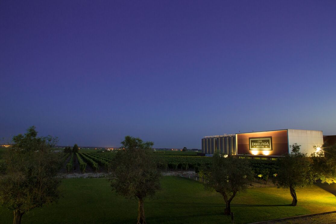 Sugestões de vinhos para a ceia de Natal