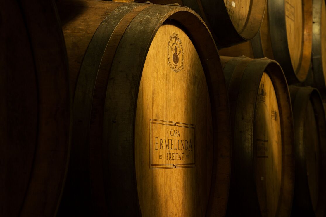 Sugestões de vinhos para a ceia de Natal